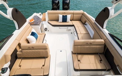 Sea Ray SDX 290 Outboard