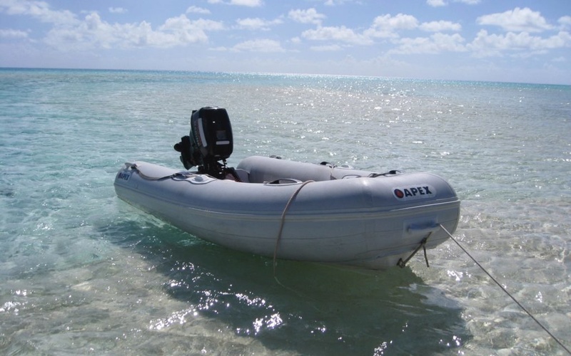 Apex A-10 RIB
