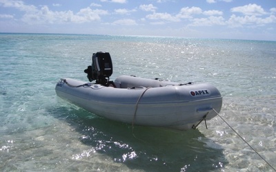 Apex A-10 RIB