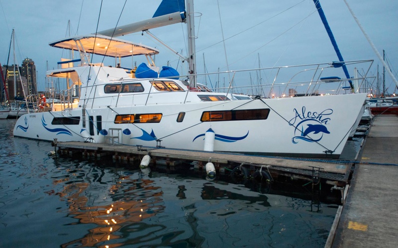 Royal Cape Majestic 570 Fly