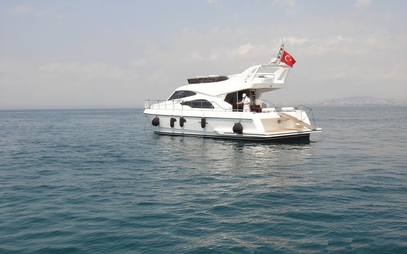 Leomar 53