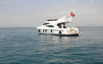 Leomar 53