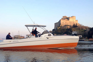 Fiart 33 Seawalker