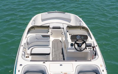 Bayliner Element M17