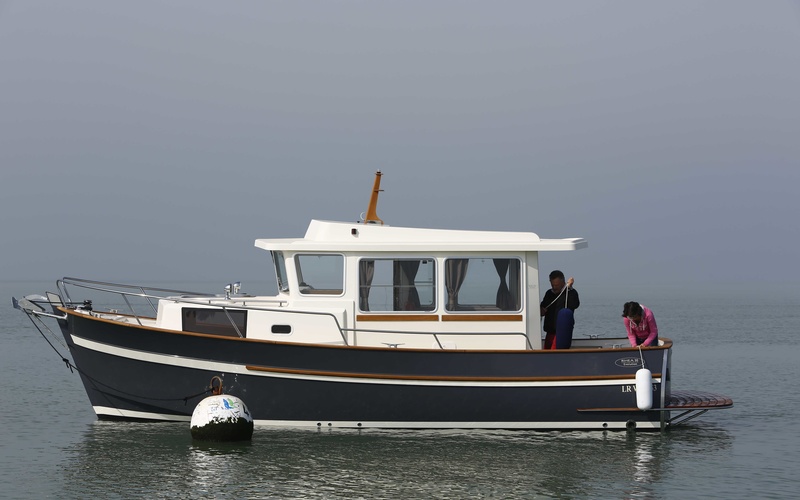 Rhea 30 Evolution