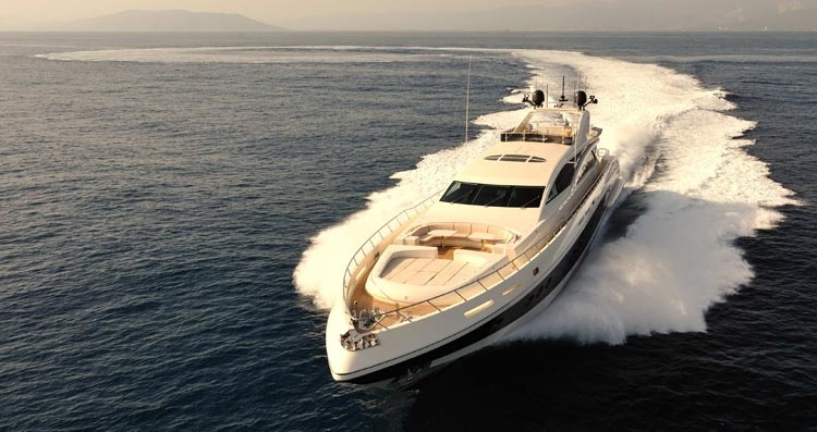 ARNO Leopard 43