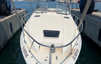 Regal 2765 Commodore (2005)