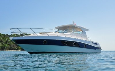 Oryx 42