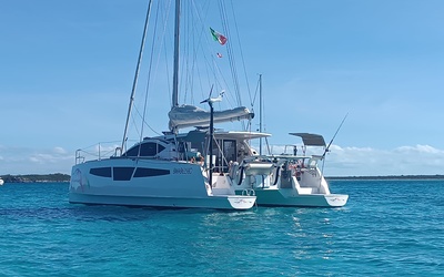 C-Cat 38