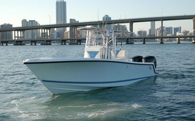 SeaVee 290