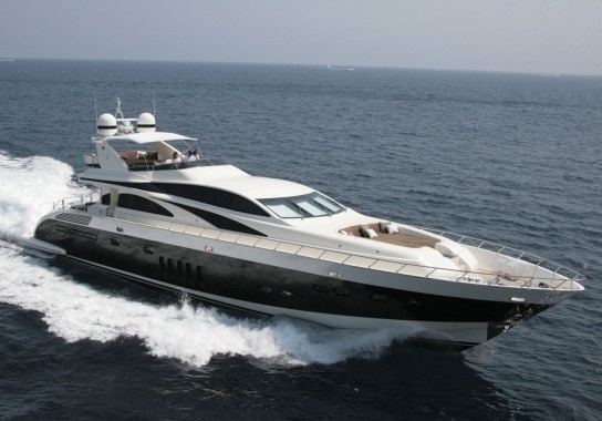 ARNO Leopard D'One