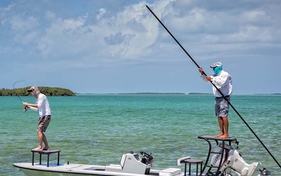 Beavertail Elite 17