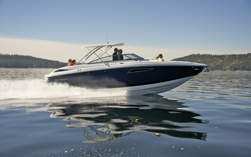 Cobalt 336