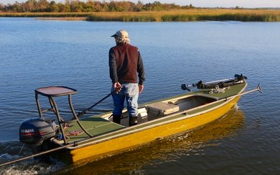 Dragonfly 15' Marsh Hen