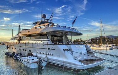 Falcon Venus Vistoria