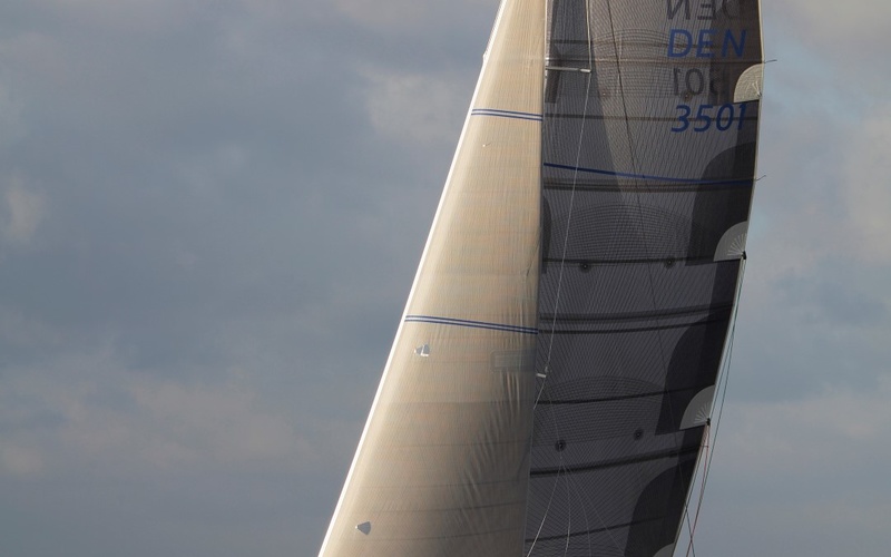 Dragonfly 35