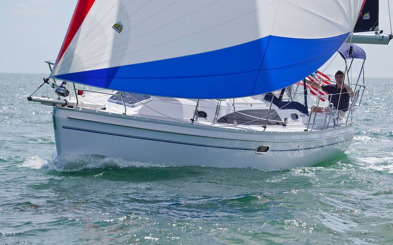 Catalina 315