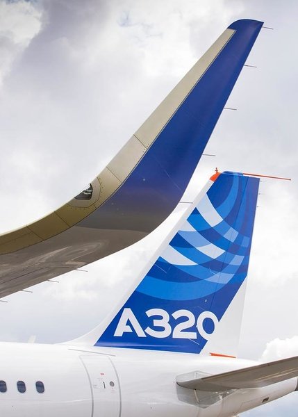 Airbus wing tip design, a charcterer that inspired engineers to create an L-shaped foyle for Oracle Team USA.