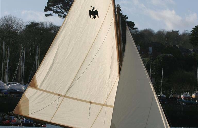Cornish Crabbers Cormorat 12