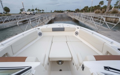 Cobia 330 DC