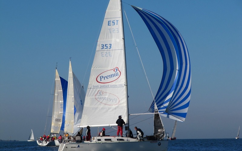 Ridas 31