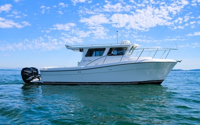 Ocean Sport 30' Roamer
