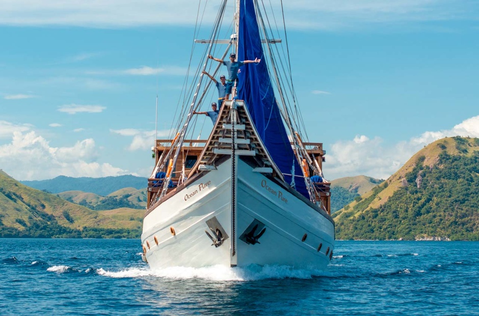 Custom Boats Ocean Pure