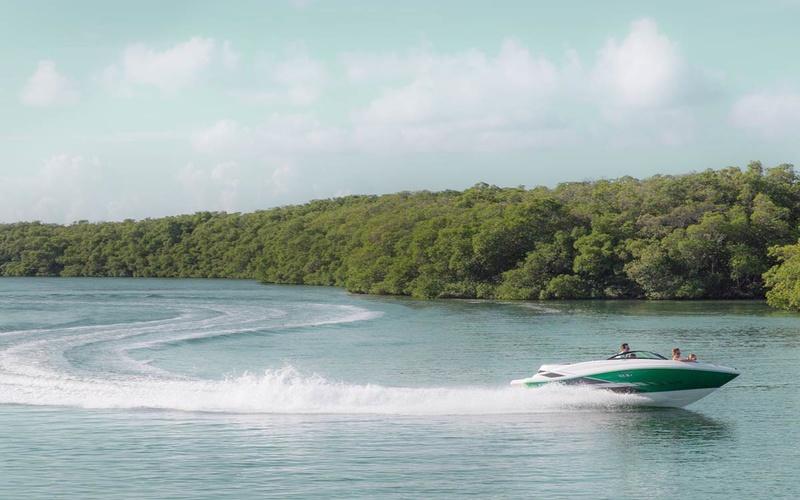 Sea Ray 190 Sport