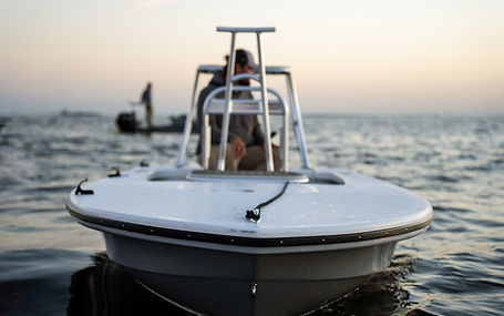 ZCB Pelican 16