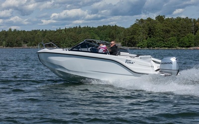 Silver Puma BR