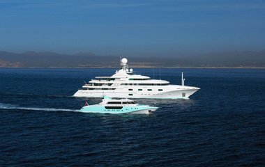 Royal Denship PEGASUS VIII
