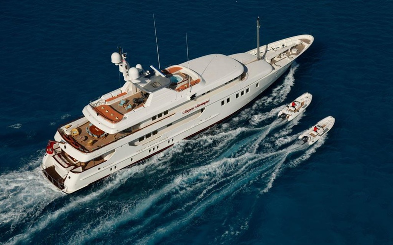 Amels Tigre d’Or 50 