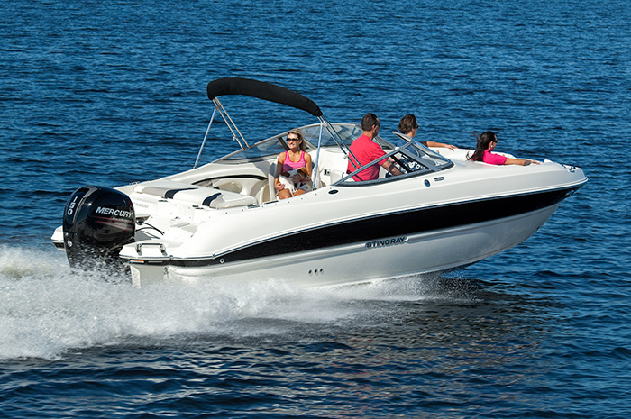 Stingray 234 LR