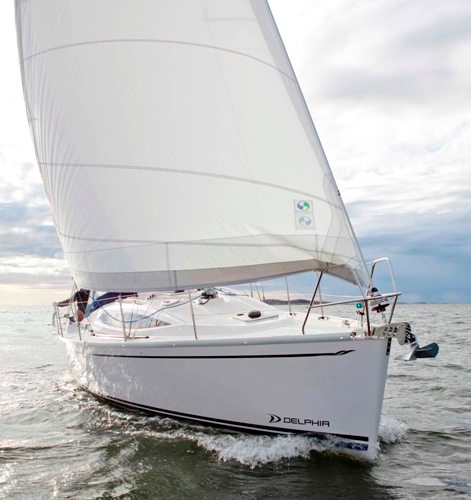 Delphia 33.3