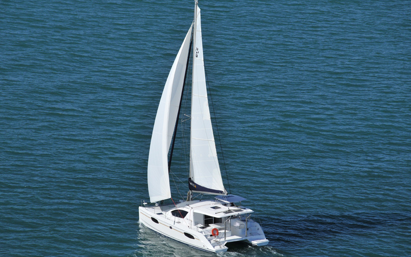 Leopard 39