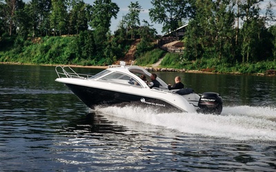 СПЭВ Phoenix 600 HT
