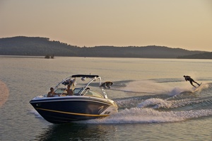 Cobalt 242WSS 