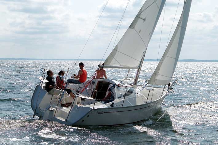 Delphia 28