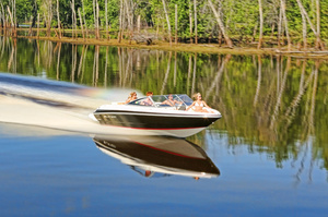 Larson LX 225 