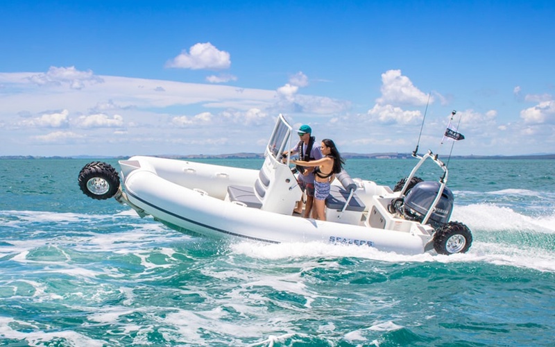 Sealegs 6.1m Sport RIB