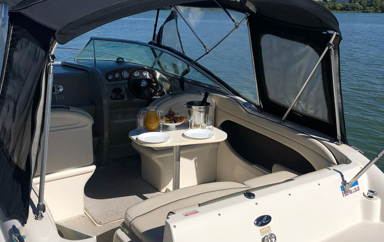 Sea Ray 225 (2005)