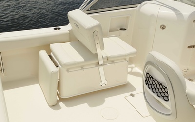 Cobia 220 DC