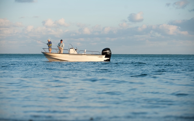Boston Whaler 190 Montauk