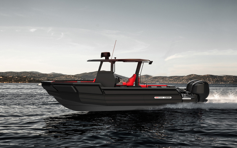 Porpoise C295