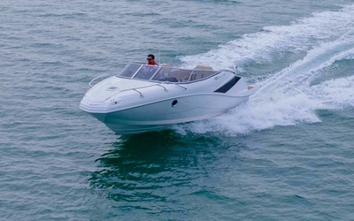FS 215