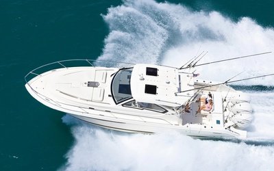 Pursuit OS 405
