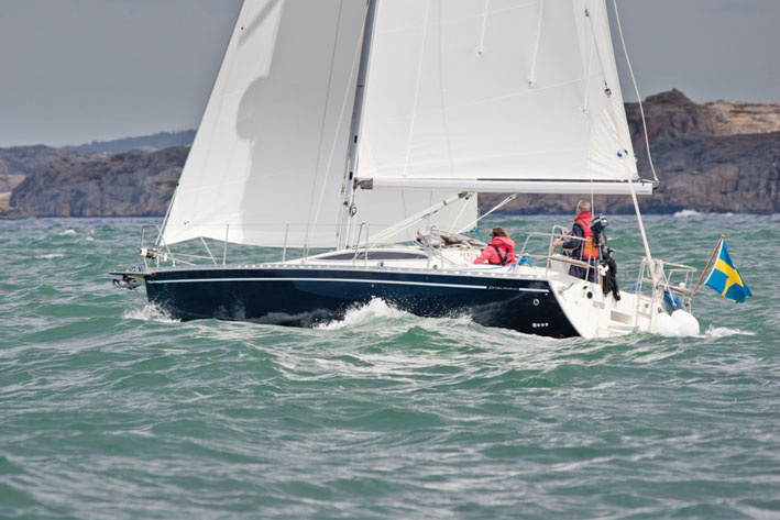Delphia 37.3
