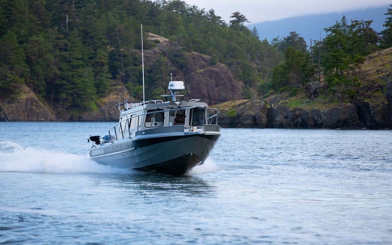KingFisher 2725
