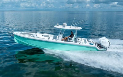 Dynamic D305V