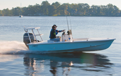 Egret 167